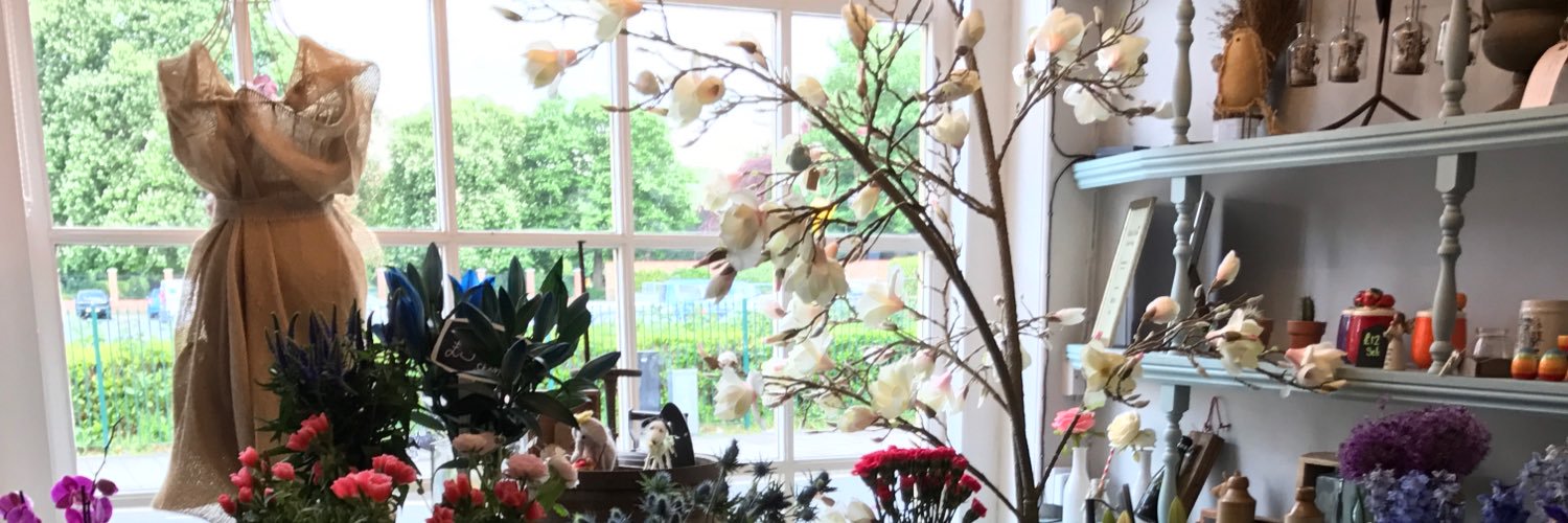 TheFlowerBasin's profile banner image