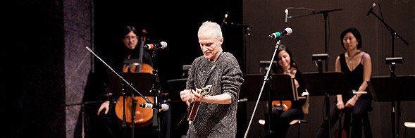 David Patrick Kelly banner