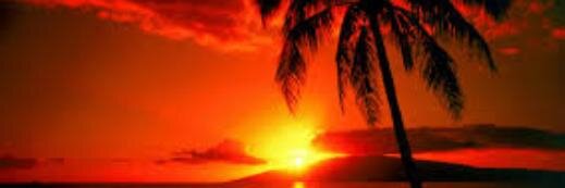 Dr. Michael Hunt 😉 banner