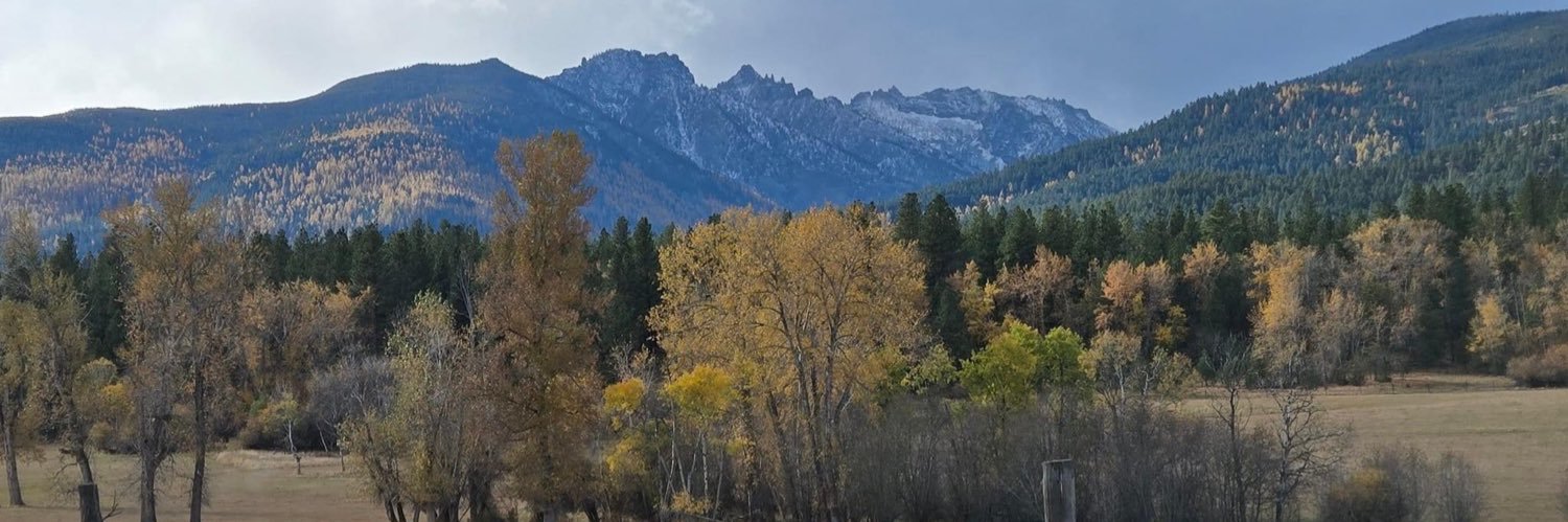 Mike vonTschudi 🇨🇭🇱🇮 banner