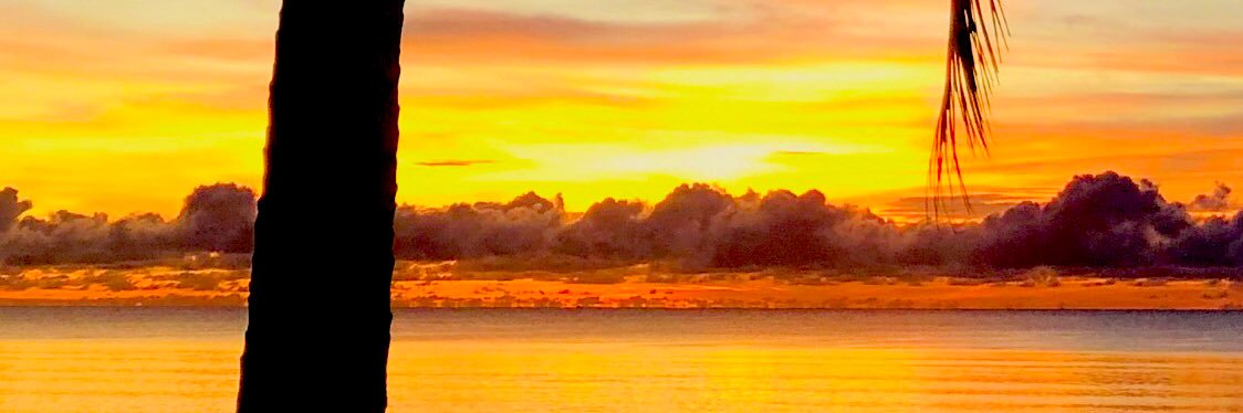 Dex Alcàntara banner