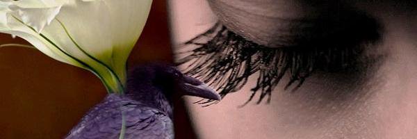 clezmaes's profile banner image