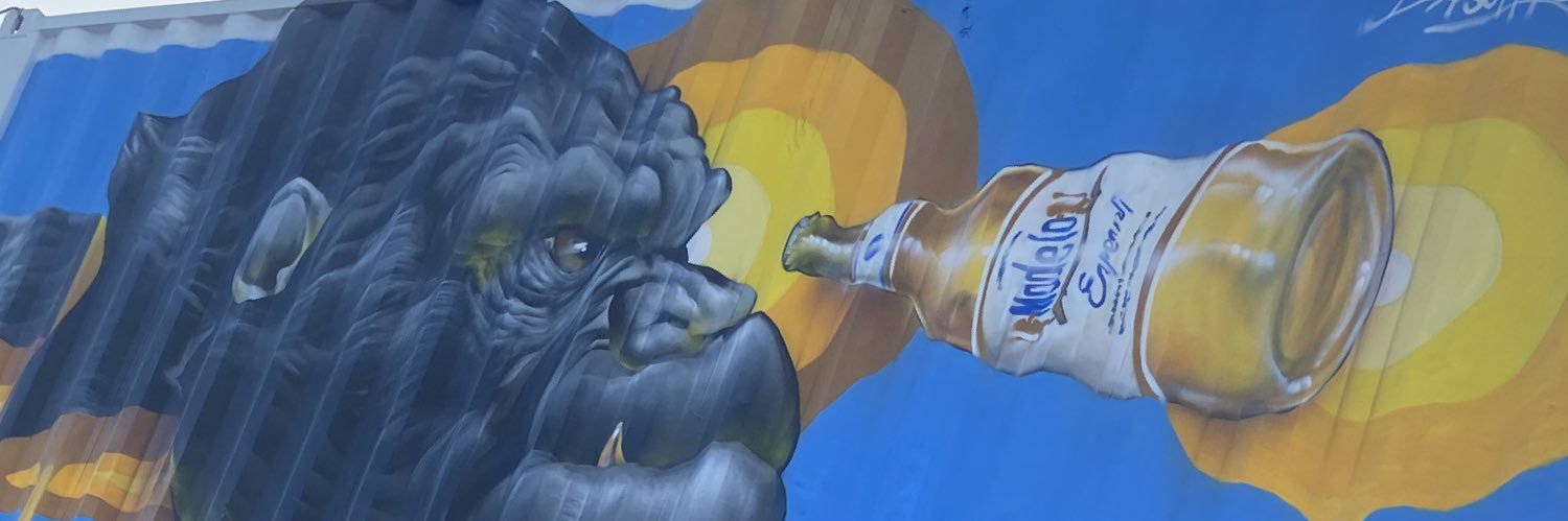 sounboolian's profile banner image