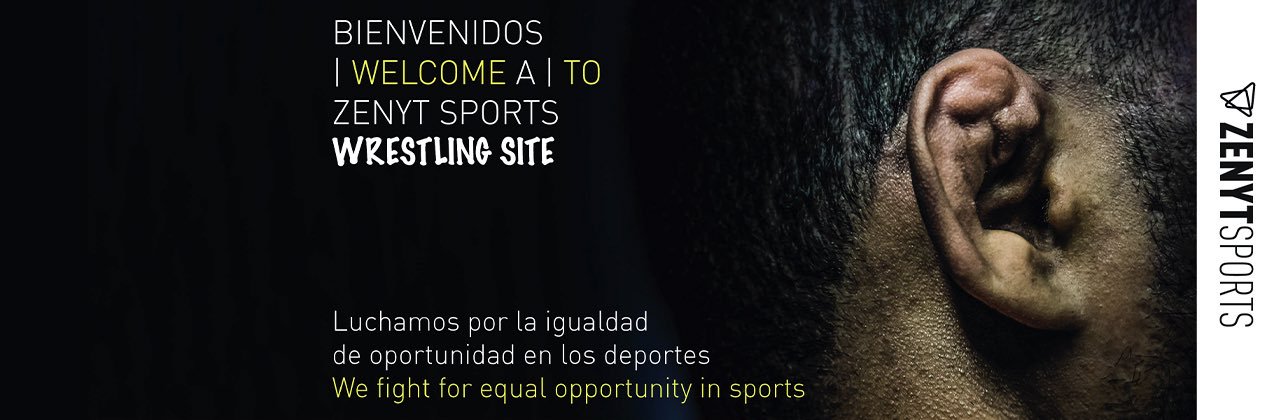 Zenyt Sports banner
