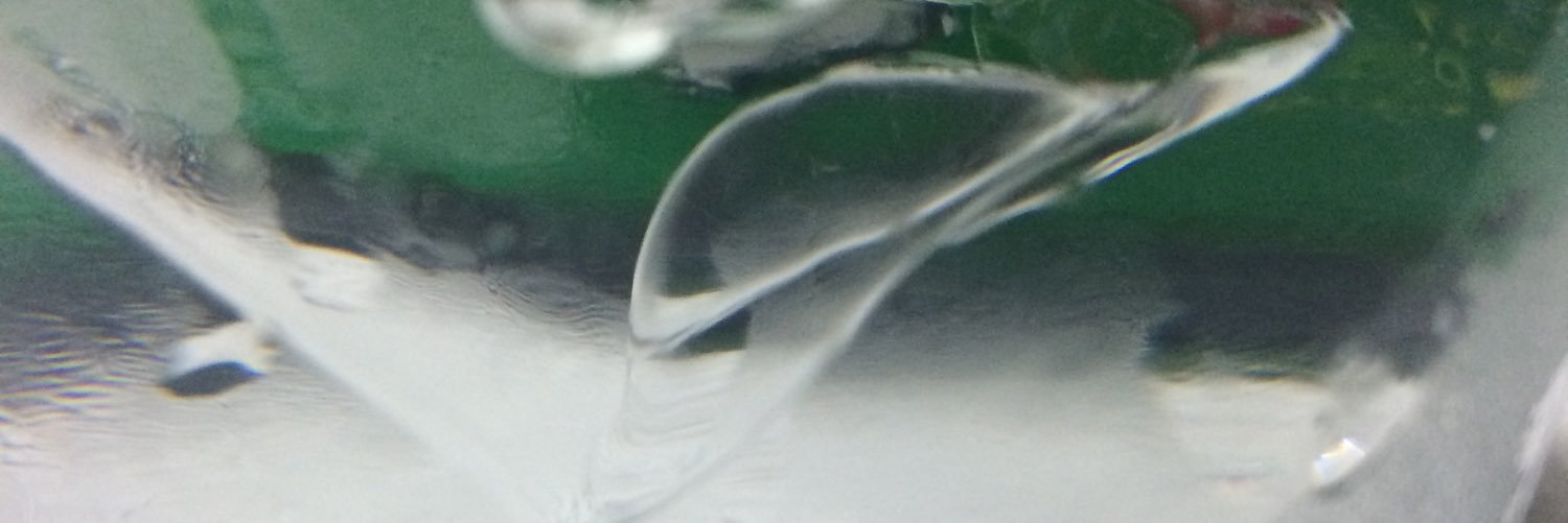 sofipe7's profile banner image