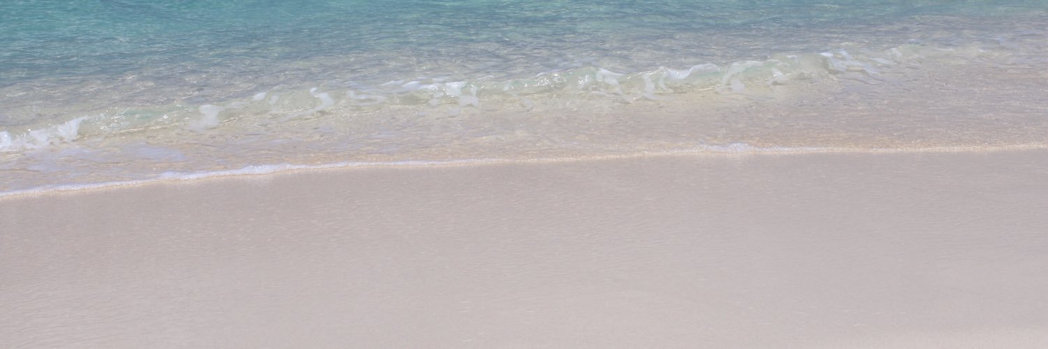 Stephanie Luton banner