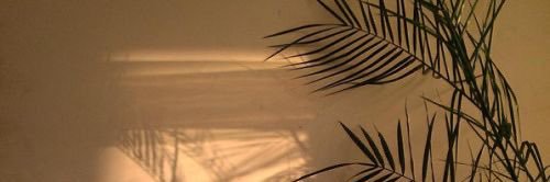 _JSS5_'s profile banner image