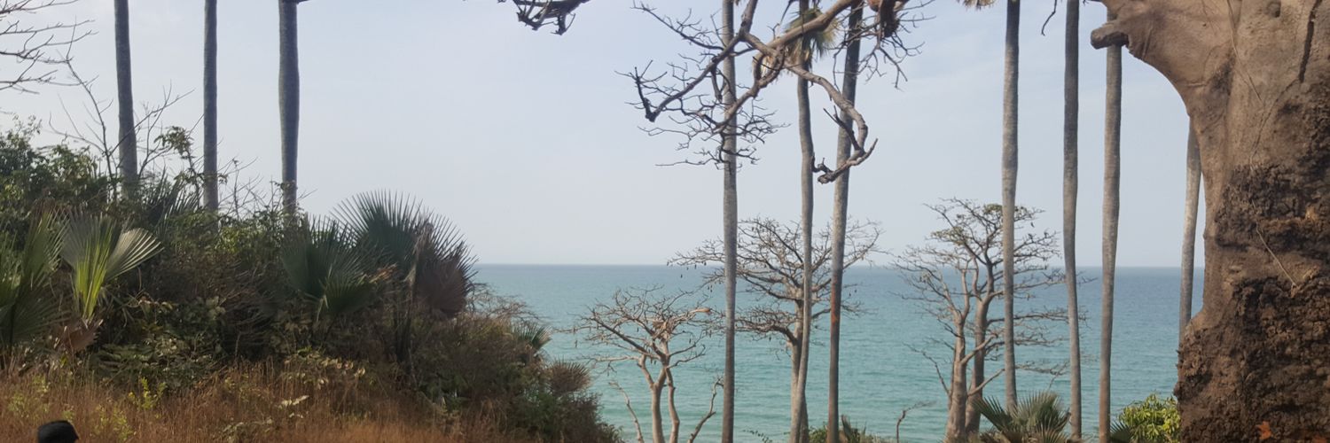 easygoing84's profile banner image