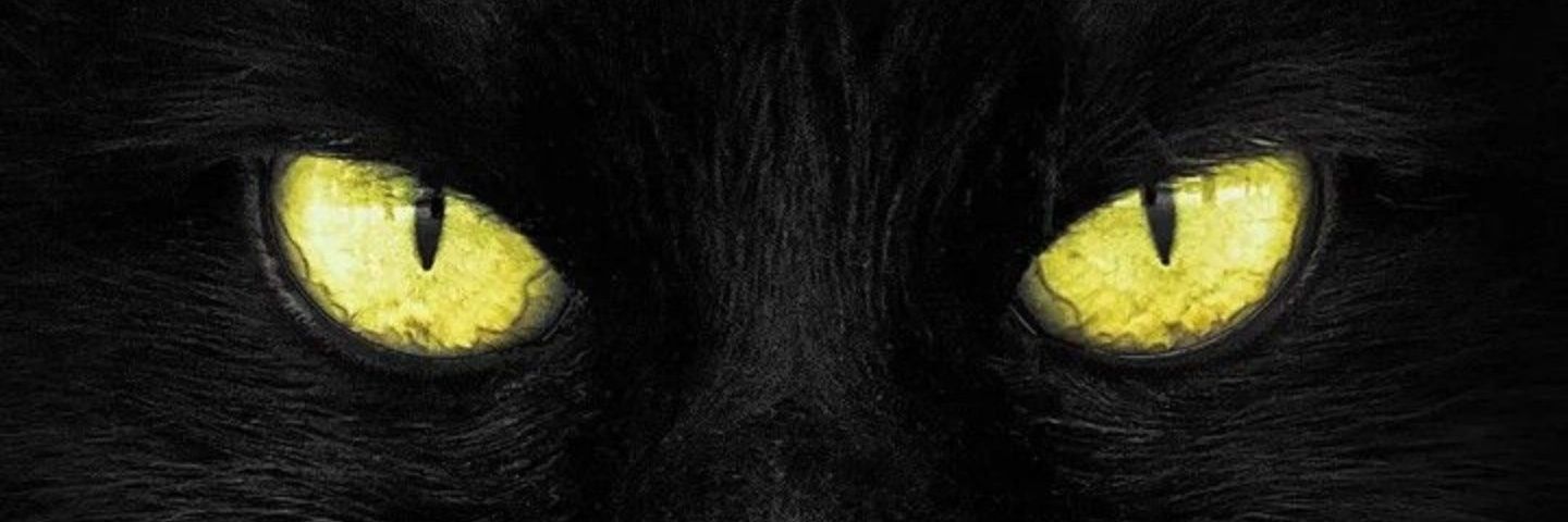 DeboahRodrigues's profile banner image