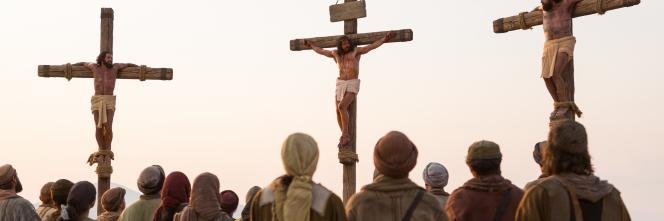 _Mormonlady's profile banner image