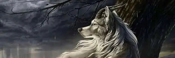 asvprocket_ Profile Banner
