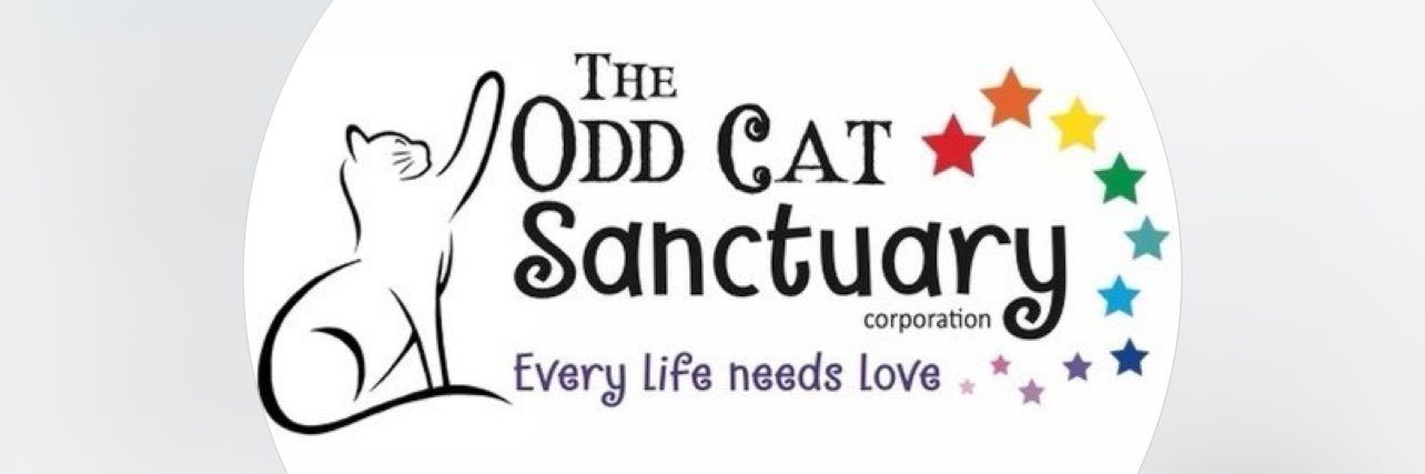 The Odd Cat Sanctuary banner