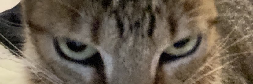 tthisisana's profile banner image