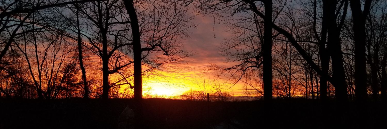 ccimorelli1's profile banner image