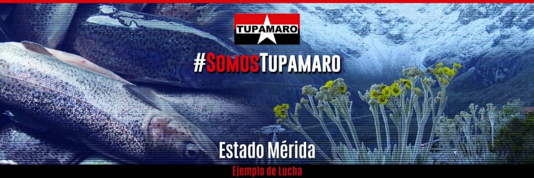 Merida_MRT's profile banner image