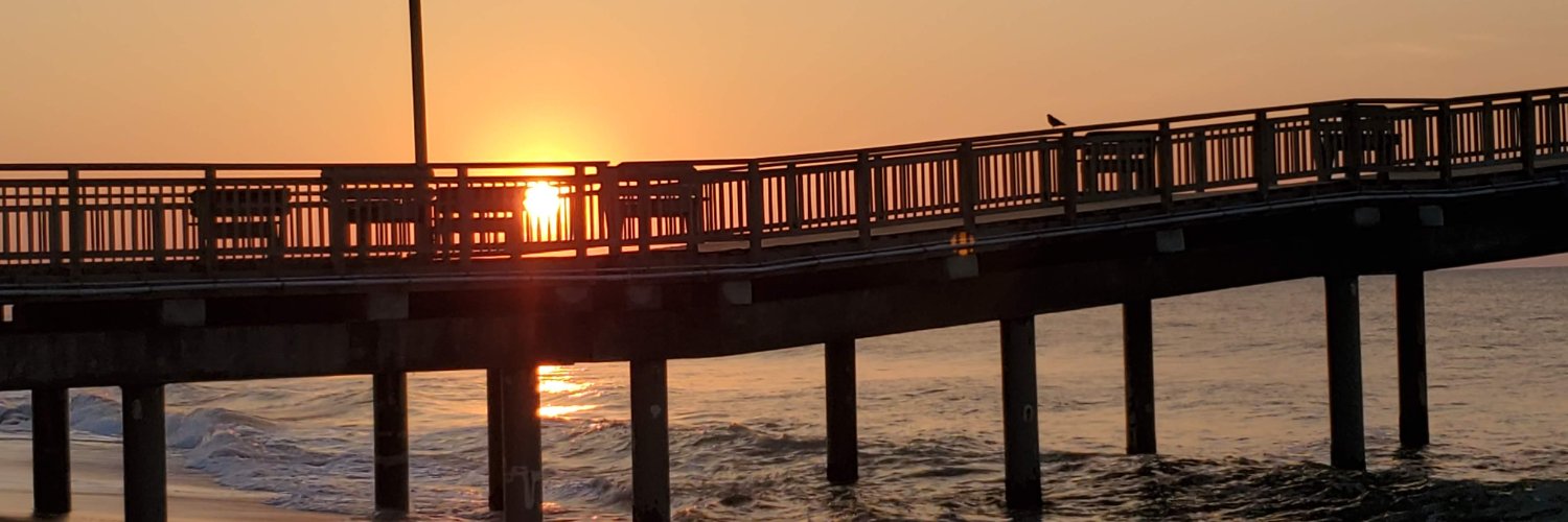 NL banner