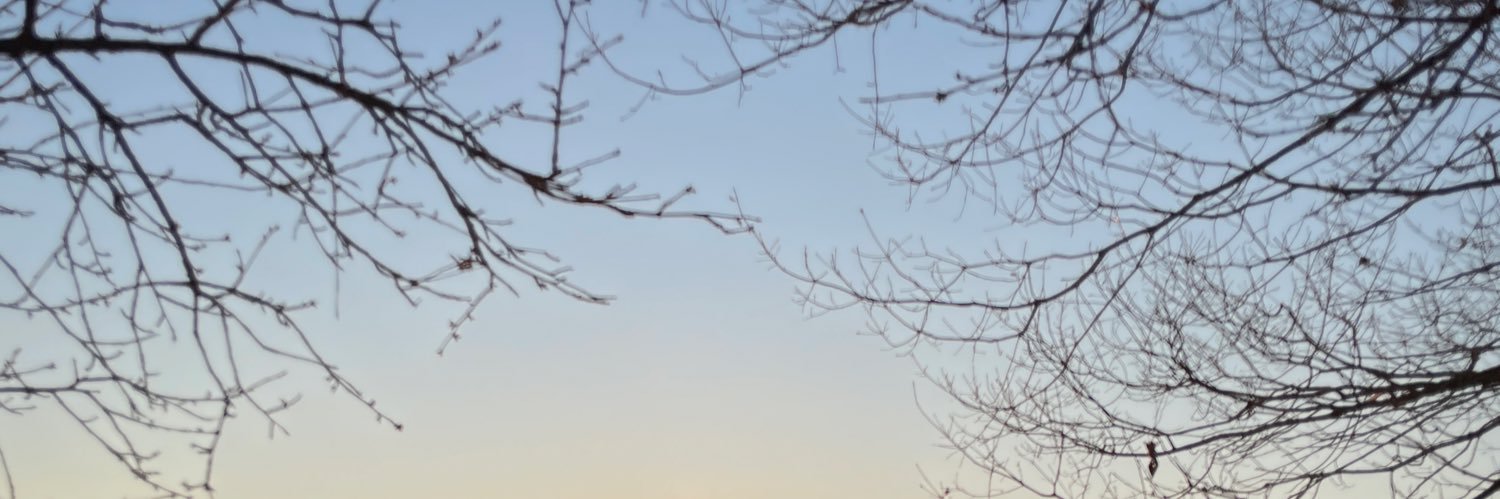 nmt_hnm's profile banner image