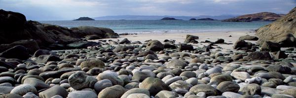 Da_Ziya_89 Profile Banner