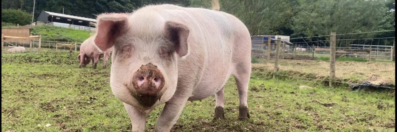 Ⓥentnor Popular Front banner