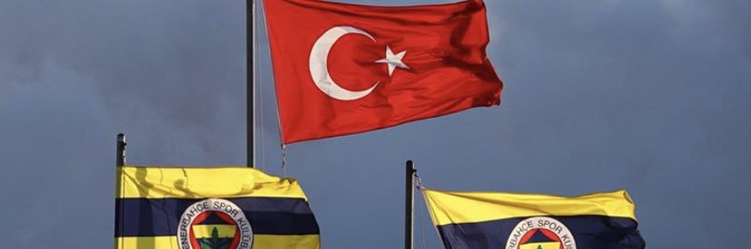 ESRASARIALTIN's profile banner image