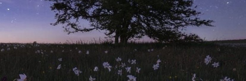 Carrunrunn's profile banner image