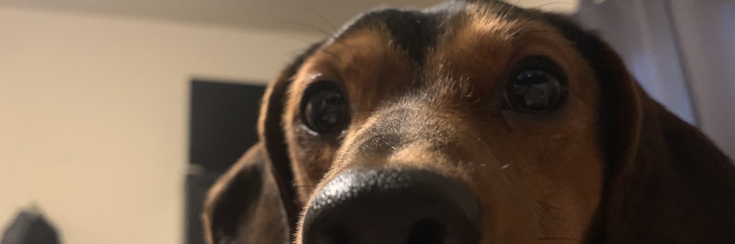 savythesinger's profile banner image