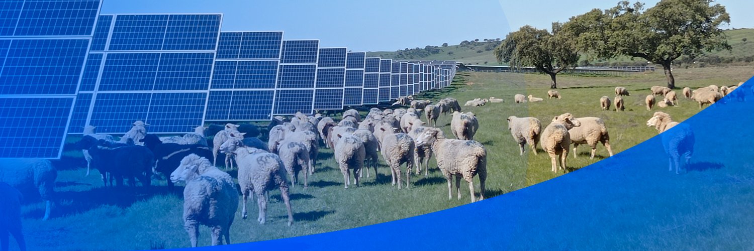 endesa banner