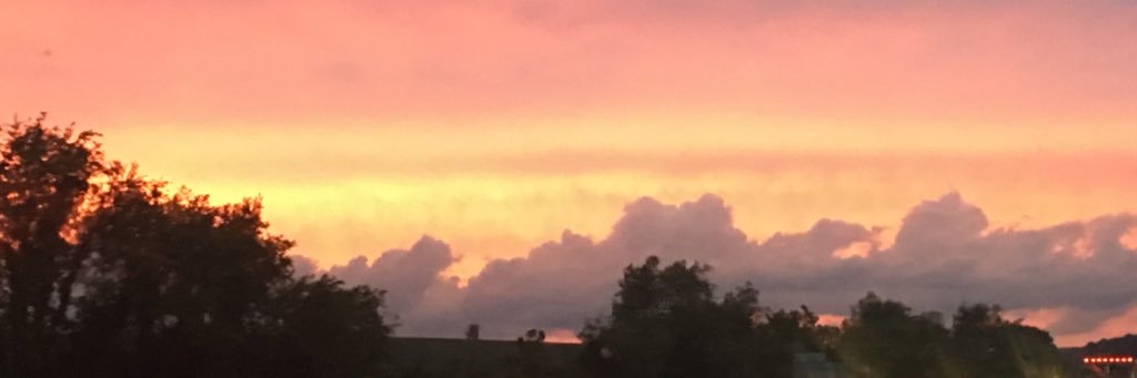 CourtneyWindhom's profile banner image