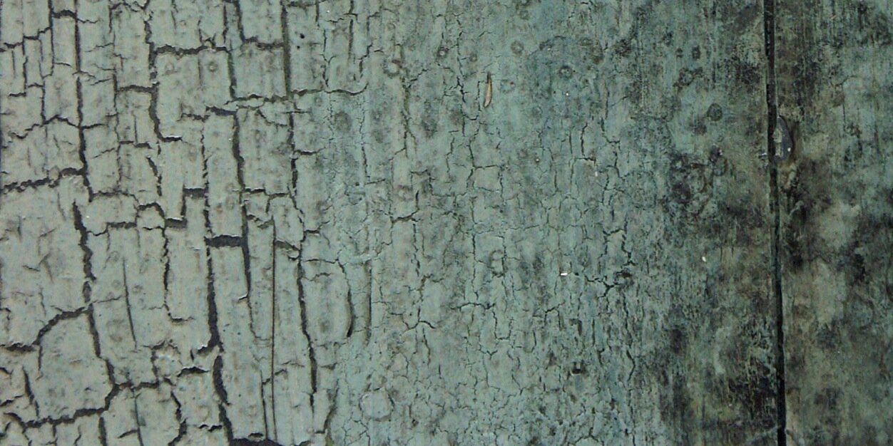 ScenicPainters's profile banner image