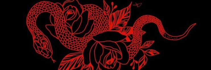 rochaaaty's profile banner image