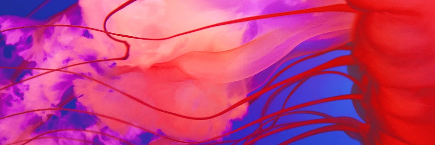 Stopper_Says's profile banner image