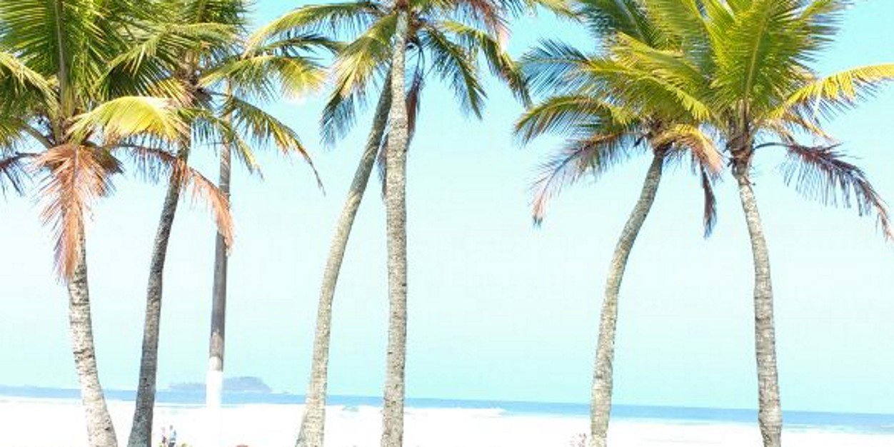 Bitzer☀️♉🌜♈ banner