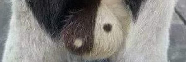 zeakcs Profile Banner