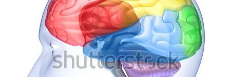 libanqasim's profile banner image