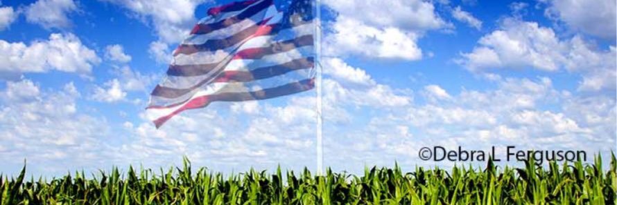 corn_rows86's profile banner image