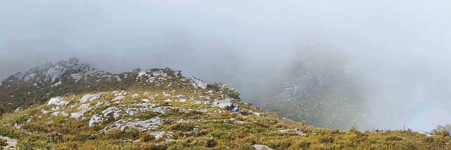 Rodrigobhgomes's profile banner image