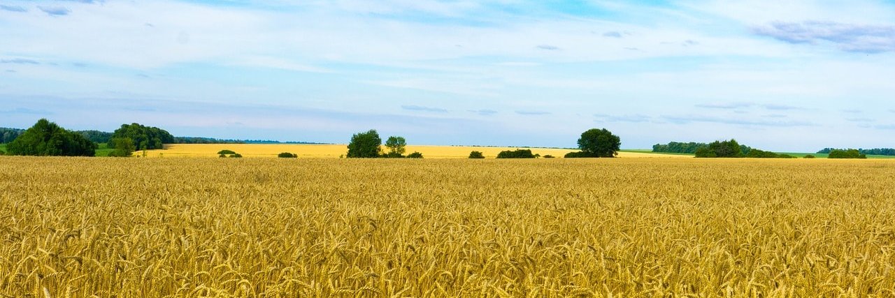 DrVolodya's profile banner image