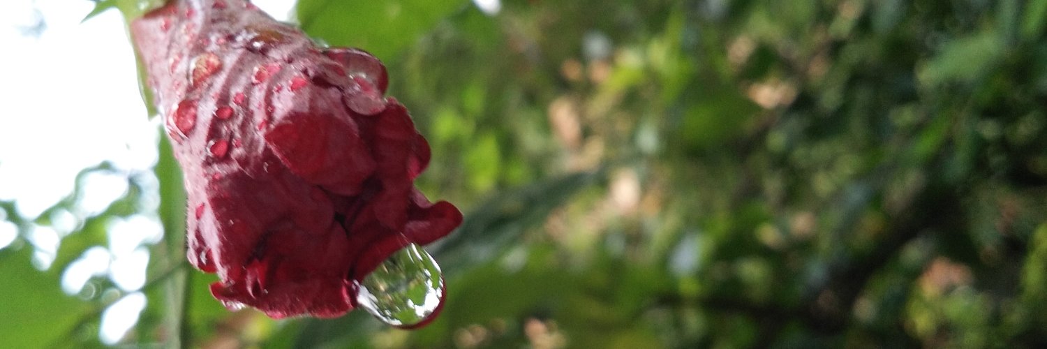dmjdarshan's profile banner image