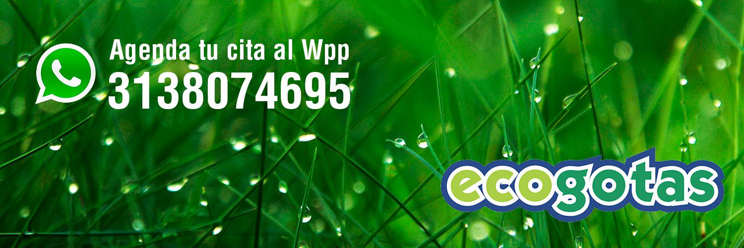 ecogotas12's profile banner image