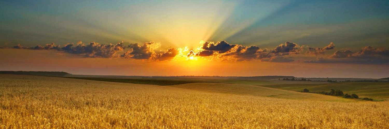 AramTurku's profile banner image