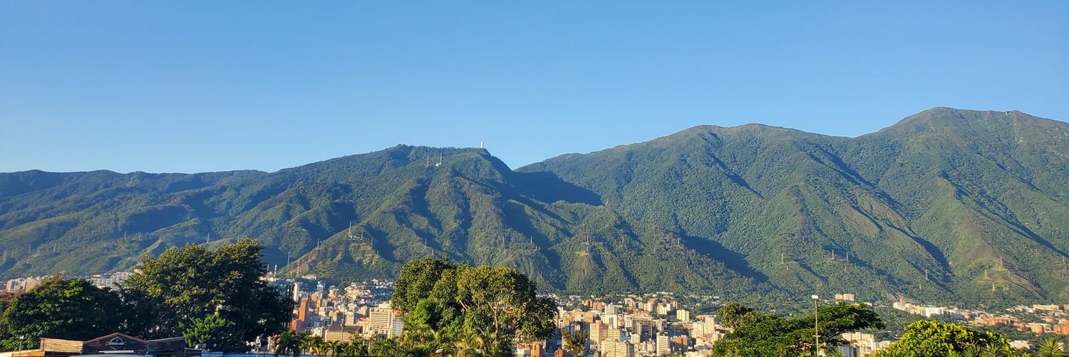 Catalina Bellino banner