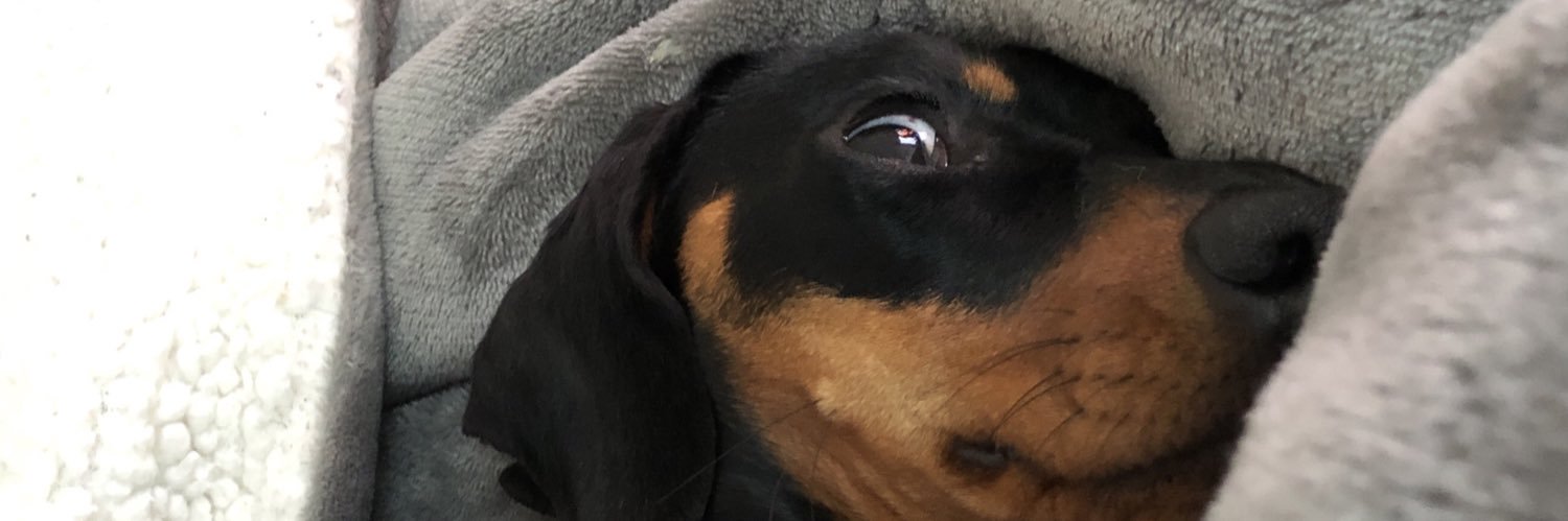 WillGriff John banner