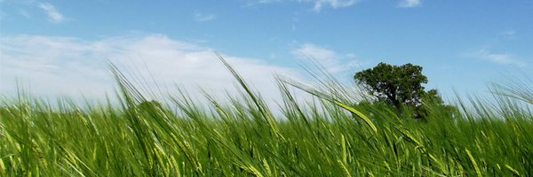 GrowInPowys Profile Banner