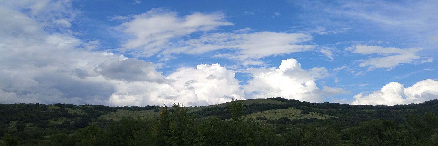 Mare Jakovljevic banner