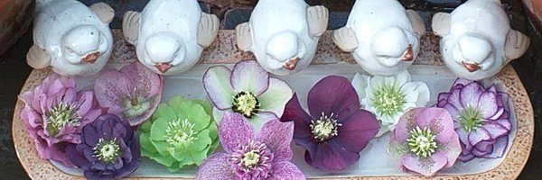 mandgriff50 Profile Banner