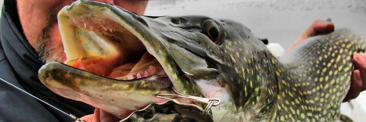 LuckyStrikeBaitWorks banner
