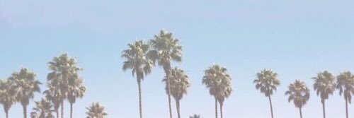 maggierpgdarg's profile banner image