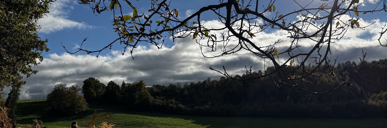 𝓓𝓸𝓻𝔂 banner