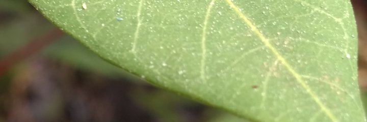 SasemicolonM's profile banner image