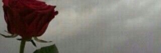 Shaker449's profile banner image